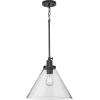 Progress Lighting Hinton Collection One-Light Vintage Brass Modern Farmhouse Pendant (P500384-163)(Matte Black)