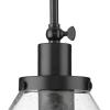 Progress Lighting Hinton Collection One-Light Vintage Brass Modern Farmhouse Pendant (P500384-163)(Matte Black)