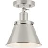 Progress Lighting P350199-009 Transitional One Light Flush Mount from Hinton Collection in Pewter, Nickel, Silver Finish,(Brushed Nickel)