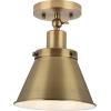 Progress Lighting P350199-009 Transitional One Light Flush Mount from Hinton Collection in Pewter, Nickel, Silver Finish,(Vintage Brass)