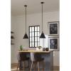 Progress Lighting P500325-104 Transitional One Light Pendant from Hinton Collection in Polished Nickel Finish,(Matte Black)