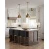 Progress Lighting P500325-104 Transitional One Light Pendant from Hinton Collection in Polished Nickel Finish,(Vintage Brass)
