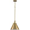 Progress Lighting P500325-104 Transitional One Light Pendant from Hinton Collection in Polished Nickel Finish,(Vintage Brass)