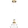 Progress Lighting P500382-163 Hinton Collection 8 in. One-Light Brushed Nickel Pendant with Clear Seeded Glass Shade