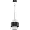 Progress Lighting Silva Collection One-Light Matte Black White Linen Shade Pendant (P500398-31M)(Matte Black)