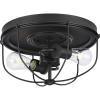 Medal Collection 2-Light Graphite Industrial Flush Mount Ceiling Light