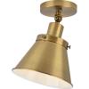 Progress Lighting P350199-009 Transitional One Light Flush Mount from Hinton Collection in Pewter, Nickel, Silver Finish,(Vintage Brass)