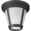 Progress Lighting P3883-3130K9 Westport 1 Light LED Flush Mount(Black)