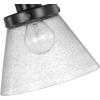 Progress Lighting Hinton Collection Black Swing Arm Wall Light, 9.63×8.00×8.00(Black)