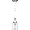 Progress Lighting Lassiter Collection 1-Light Clear Glass Modern Pendant Light Matte Black(Brushed Nickel)