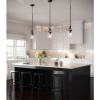 Progress Lighting Lassiter Collection 1-Light Clear Glass Modern Pendant Light Matte Black(Matte Black)