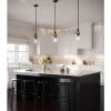 Progress Lighting Lassiter Collection 1-Light Clear Glass Modern Pendant Light Matte Black(Matte Black)