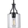 Progress Lighting Lassiter Collection 1-Light Clear Glass Modern Pendant Light Matte Black(Matte Black)