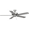 Brushed Nickel